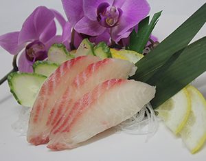 Snapper sashimi